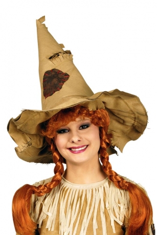 Vogelscheuchenhut Vogelscheuche