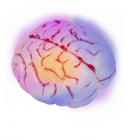 Leuchtendes Gehirn Farbwechseleffekt Halloweendekoration Originalgröße