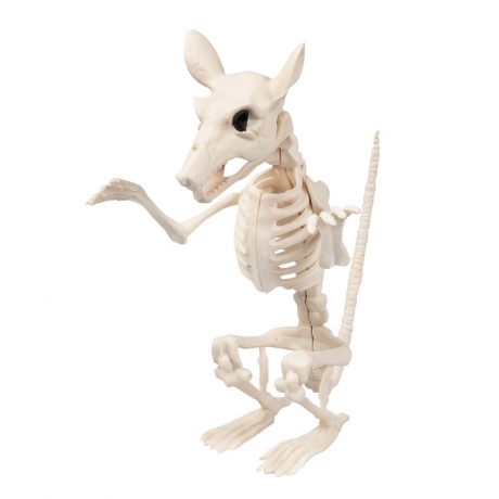 Ratte Rattenskelett Halloween Halloweendekoration Tierskelett Ungeziefer