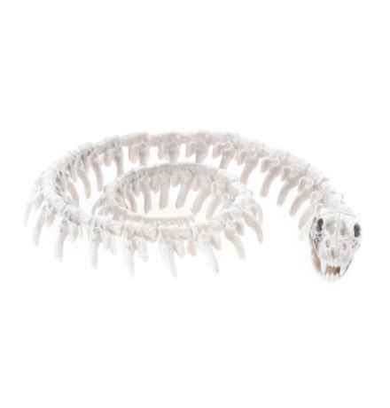 Schlange Schlangenskelett Snake Halloweendekoration Klapperschlange Kobra