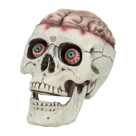 Totenkopf Gehirn Schädel Brain Dead Horror Halloweendeko