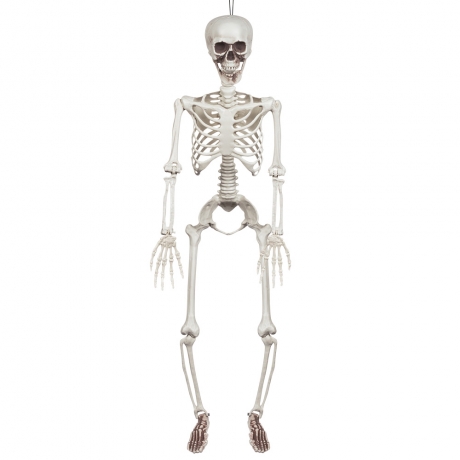 Bewegliches Skelett Halloween Halloweendekoration Knochengerüst
