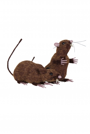 2 Stück Halloweenfigur Ratte stehend liegend Grusel Horror Halloween