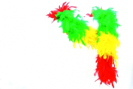 Federboa mehrfarbig Accessoires Faschingsparty Kostümfest Zubehör Mott