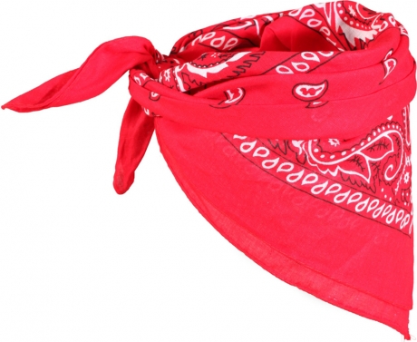 Cowboy Biker Bandana Halstuch