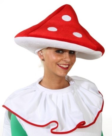 Hut Pilz Fliegenpilz Glückspilz Fasching Accessoires Zubehör Kopfbedec