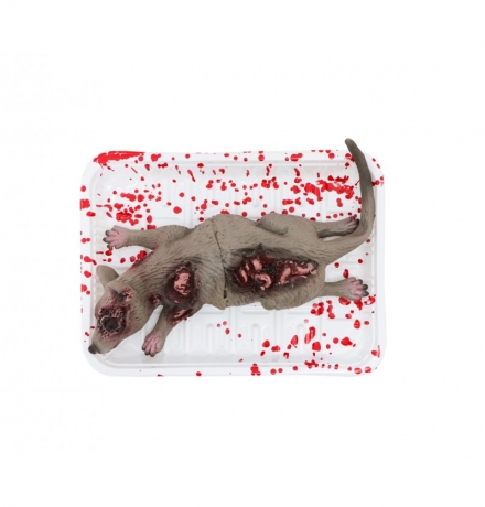 Blutige Ratte Maus Halloweendekoration Ratte in Kühlschrankverpackung