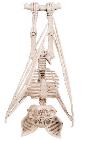 Skelett Gerippe Knochengerüst Fledermaus Halloweendekoration Panelize®