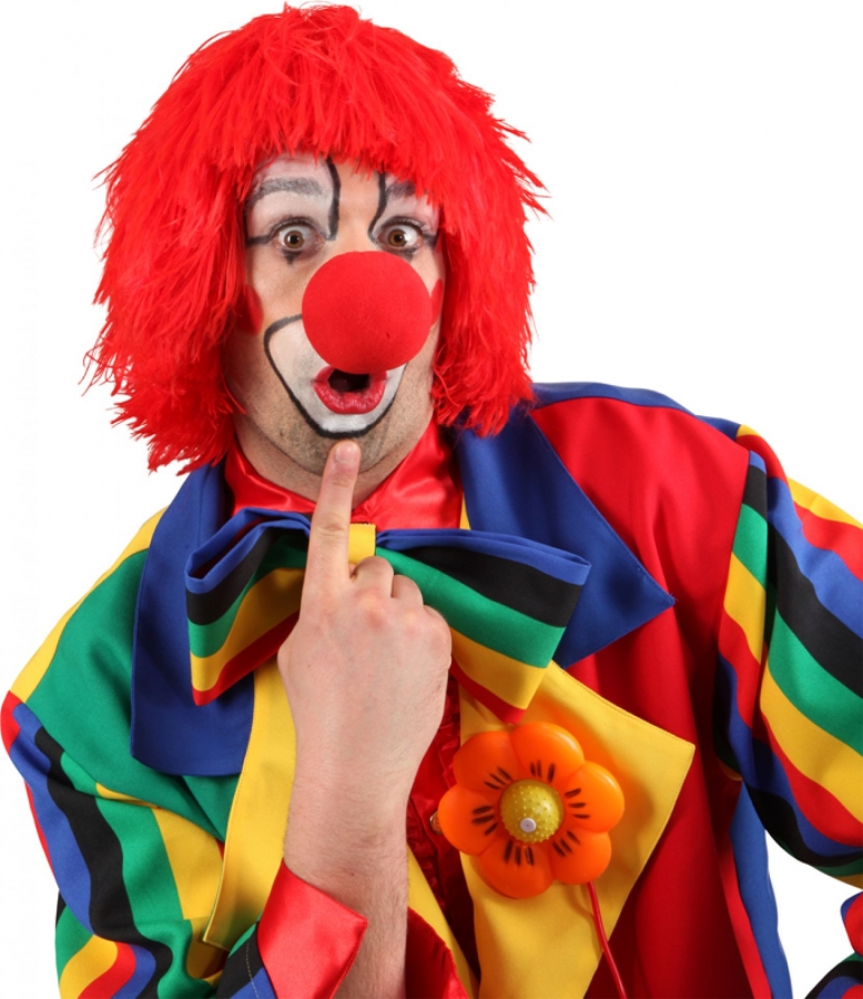 Clown Perucke Viele Farben Karneval Fasching Kostum