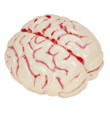 Leuchtendes Gehirn Farbwechseleffekt Halloweendekoration Originalgröße