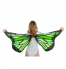 Schmetterling Schmetterlingsflügel bunte Flügel
