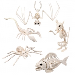 Halloweendekoration 5 Tierskelette Skelett Ratte Fledermaus Spinne