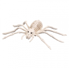 Halloweendekoration 5 Tierskelette Skelett Ratte Fledermaus Spinne