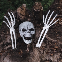 Skelett Skelettknochen Knochen Knochenteile Halloweendekoration Totenkopf