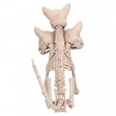 Skelett Knochengerüst 3 köpfige Hundeskelett, Halloweendekoration Party Deko