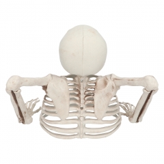 Torso Skelett Halloween Knochengerüst Groundbreaker Halloweendekoration