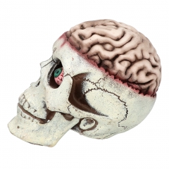 Totenkopf Gehirn Schädel Brain Dead Horror Halloweendeko