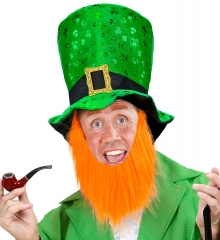 Saint Patrick Day St. Patrick´s Fest Hut mit Bart Irland Pup
