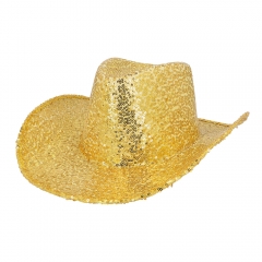 Cowboyhut viele Farben Rodeo Festival Partyhut Realitystar