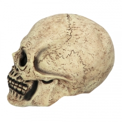 Totenkopf Maske Skelett Halloween Halloweenmaske Schädel