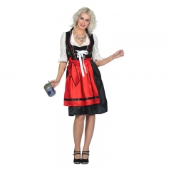 Dirndl Dirndlkleid mit Stickereien Trachtenbluse Schürze Trachten