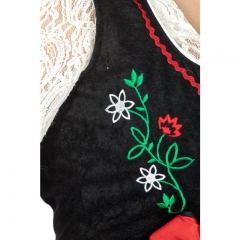 Dirndl Dirndlkleid mit Stickereien Trachtenbluse Schürze Trachten