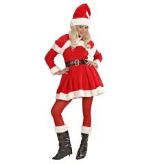 Nikoläusin Weihnachtsfrau Frau vom Weihnachtsmann Miss Santa 5 teilig