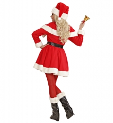 Nikoläusin Weihnachtsfrau Frau vom Weihnachtsmann Miss Santa 5 teilig