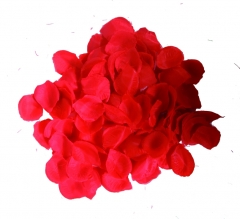 Rote Rosenblätter 288 Stück Streudekoration Hochzeit Blätter viele Farben