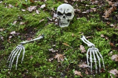Skelett Knochen Knochenteile Halloweendekoration Geister