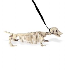 Tierskelett Hundeskelett Dackelskelett Halloweendekoration Knochengerüst